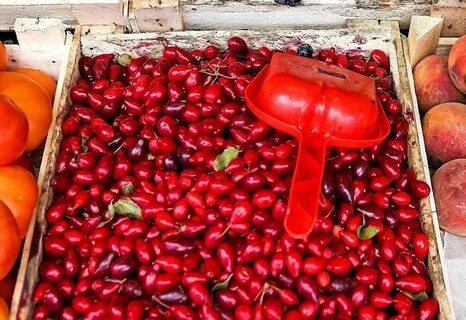 Какой фрукт не зреет в сочи
