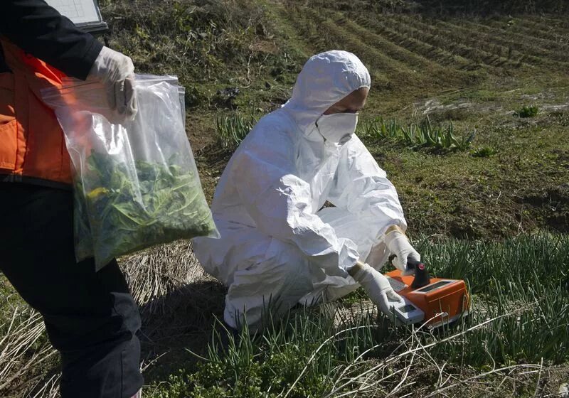 Борьба с загрязнением почвы. Радиоактивное загрязнение. Радиационное загрязнение почвы. Радиоактивные травы.