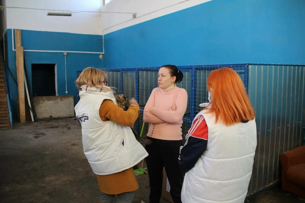 Приют для бездомных животных в саранске. Группа помощи бездомным. Волонтеры саранск. Приют для животных саранск. Помощь волонтерской группы саранск.