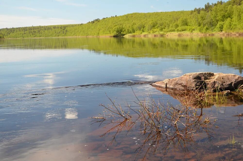 Паной Мурманск река. Река паной Кольский полуостров. Поной Исток.