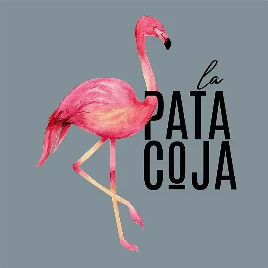 La pata. Идиомы на испанском. La pata. La pata. The muses pata pata.