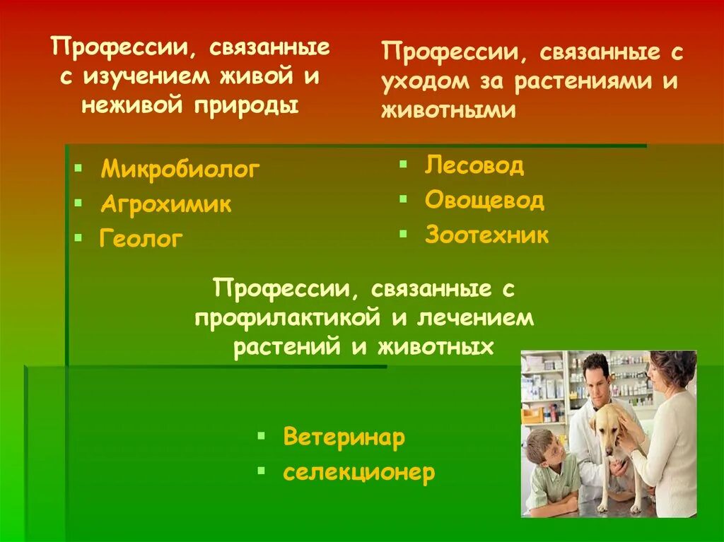 Кто заботится о людях профессия. Профессия связана с природой. Профессии связанные с природой. Профессии людей связанные с природой. Какие есть профессии связанные с природой.