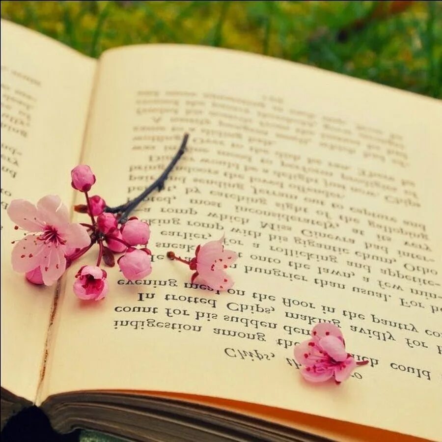 Книга написанная ей самой. Книга цветы. Милая книга. Книга для…. Книга с цветами.