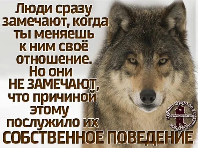 Я заметил что от станции. Афоризмы про добро которое не забывается. Цитаты про хорошее отношение к людям. Люди быстро забывают добро цитаты. Не делай людям добра цитаты.