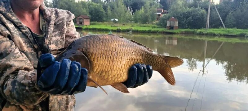 русфишинг светлые горы