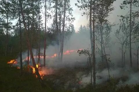 Пожары в карелии