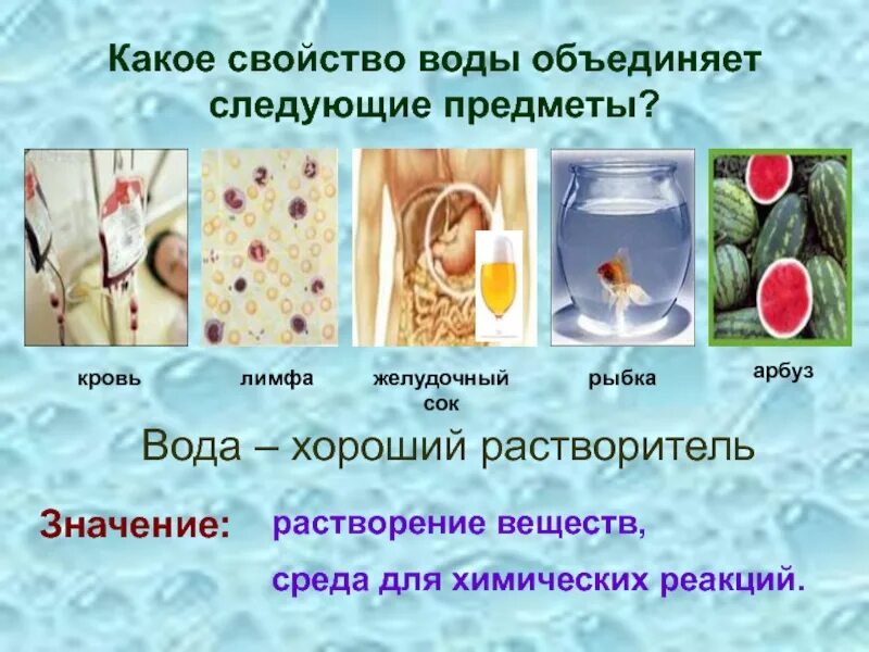 Свойства водной среды. Реакционная среда воды. Вода как среда химической реакции. Биологические свойства воды. Биологические качества воды