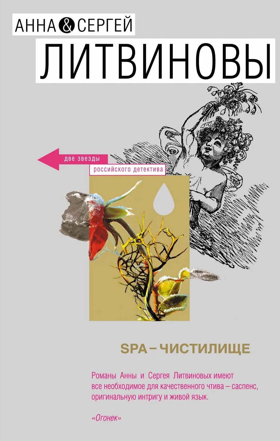 Литвиновы читать. Литвиновы фото авторов. детективы анны и сергея литвиновых.