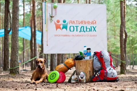 Средство активного отдыха