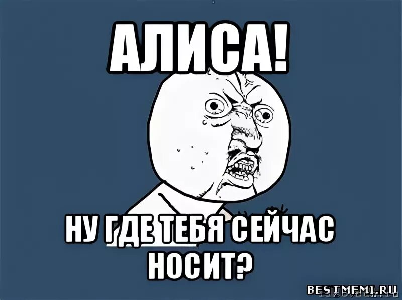 Прихожу включи. Алиса тупая. Мемы про Алису. Почему Алиса тупая. Алиса ты тупая.