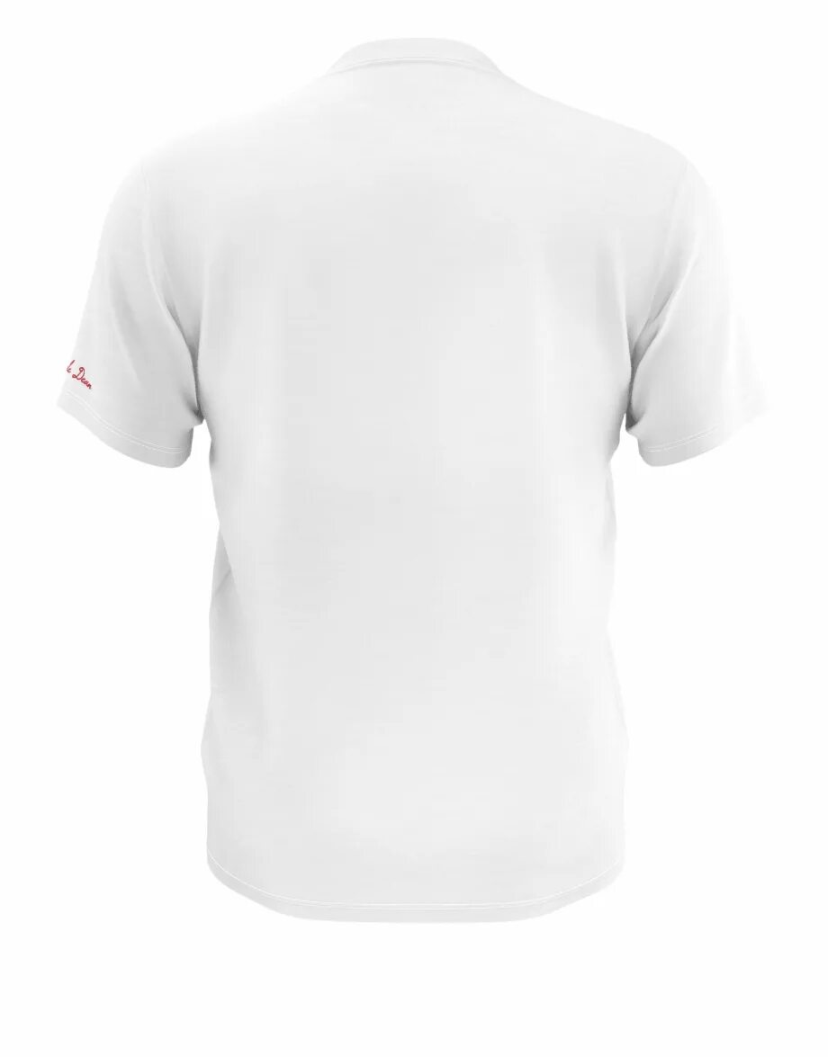 Вид со футболка. Quiksilver футболка белая scull. Белая футболка мужская. Белая футболка спина. Белая футболка.