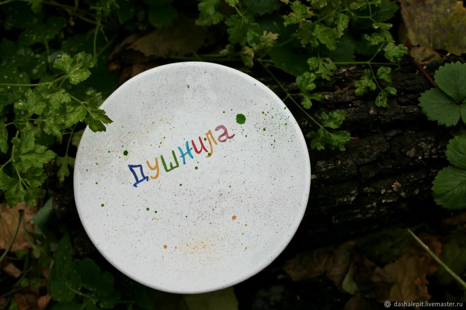 Почему не работает тарелка причины. Тарелка почему а. Тарелка почему а. Русский язык тарелка стоит. Тарелка почему а.