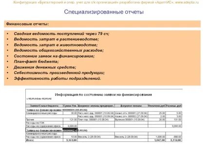 Дела оперативного учета