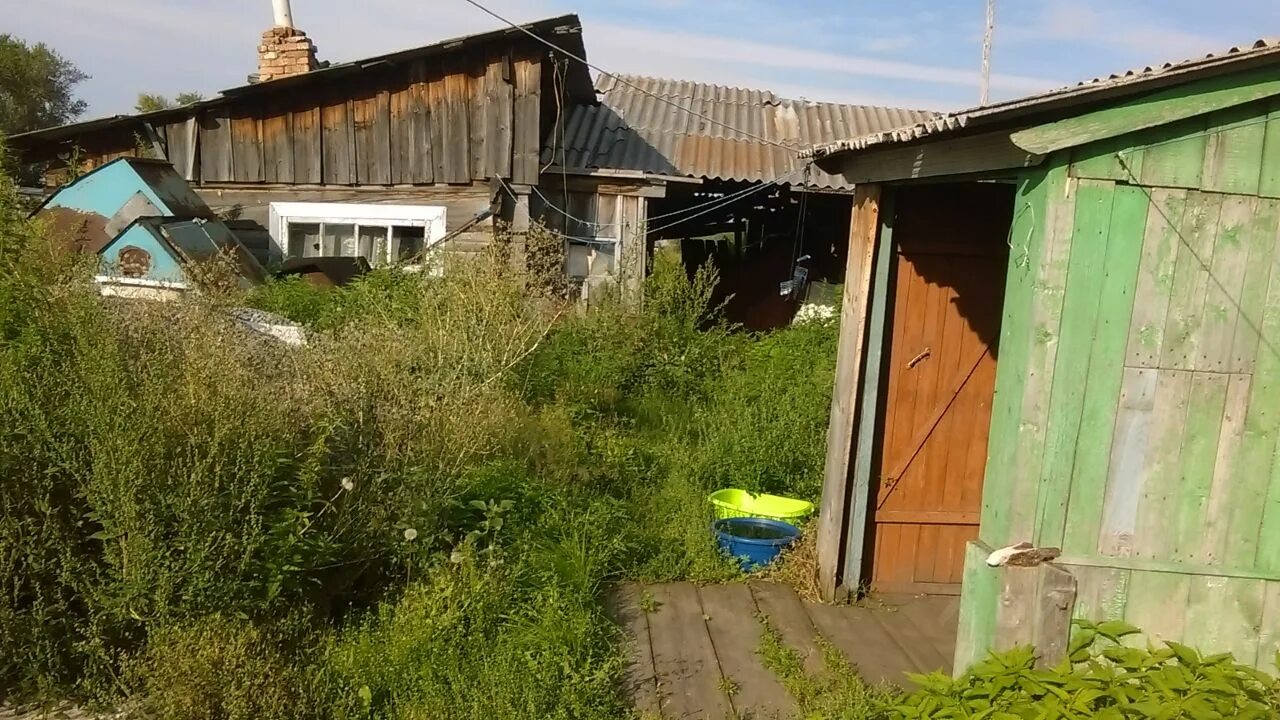 Село новопятницкое красноярский край. Новопятницкое красноярский край. Новопятницкое озеро красноярск. Село новопятницкое красноярский край. Новопятницкое красноярский край.