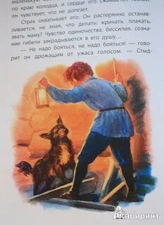Жучка рассказ