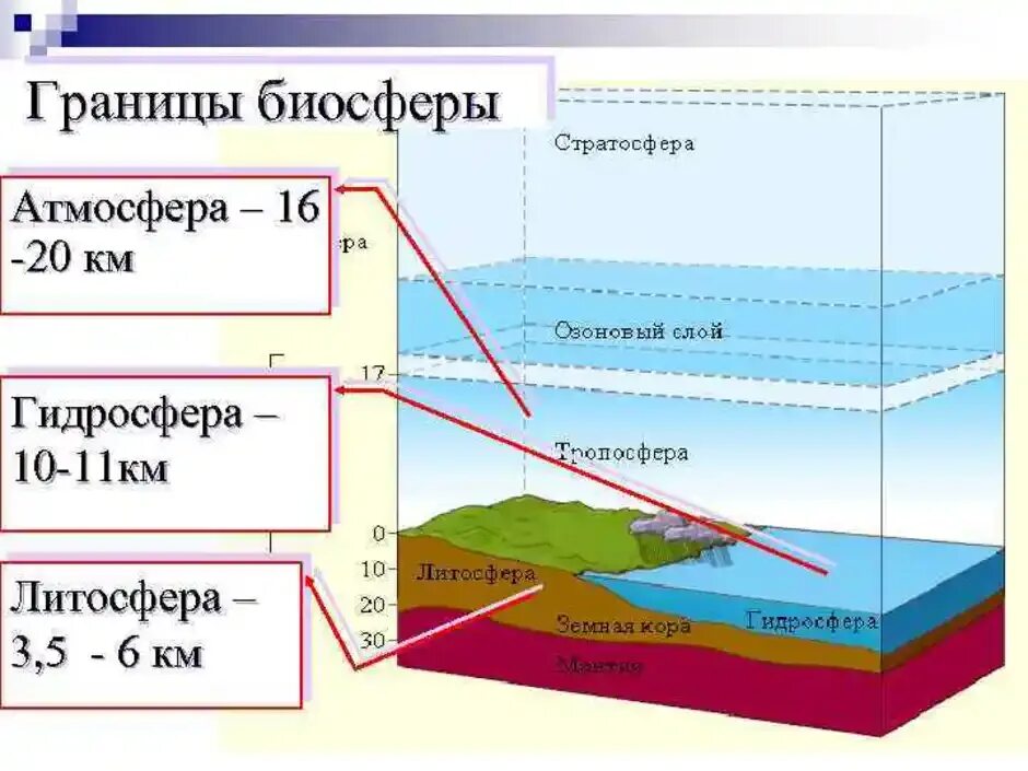 Биосфера оболочка земли где существует жизнь. Биосфера – оболочка жизни. Границы биосферы. Границы биосферы атмосфера гидросфера литосфера. Биосфера гидросфера атмосфера литосфера схема. Границы биосферы земли схема.