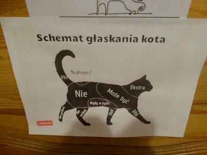 Как гладить кота