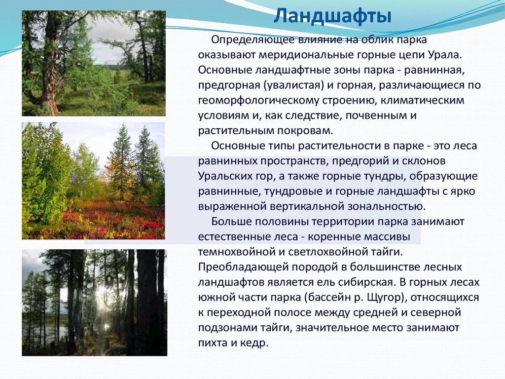 Основные виды ландшафтов. Лесные ландшафты презентация. Особенности горного ландшафта. Лесные ландшафты примеры.