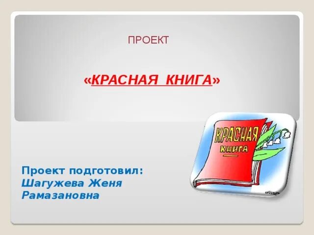 История книги подготовительная группа