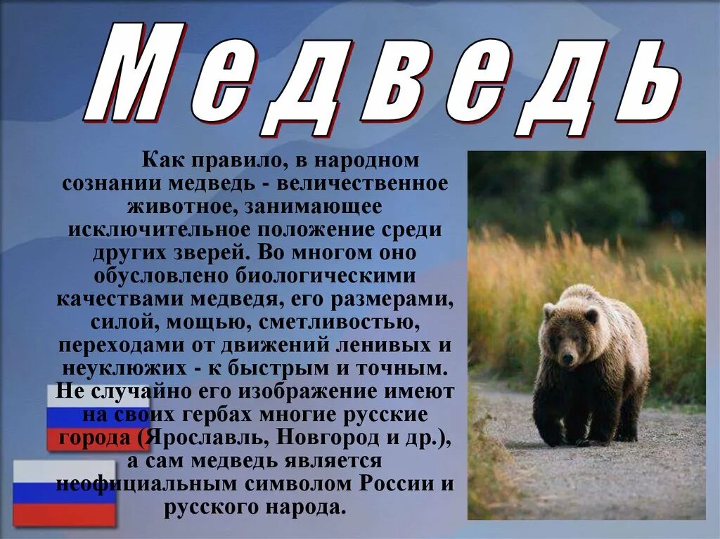 Какой зверь является национальным символом. Неофициальные символы России медведь. Медведь символ России. Животные символы России. Национальные символы России медведь.
