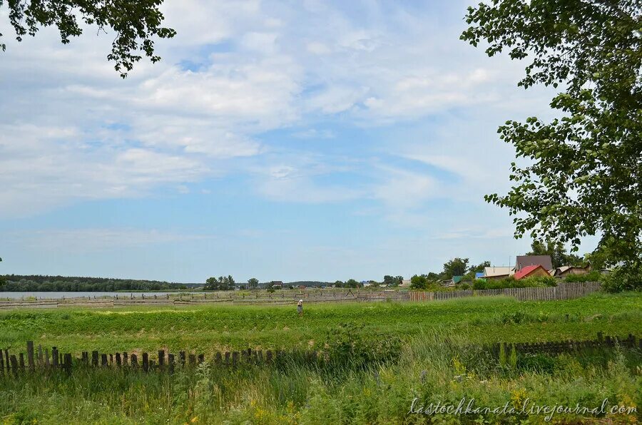 Титовка село новоегорьевское. Село новоегорьевское алтайский край. Село новоегорьевское алтайский край. Село новоегорьевское алтайский край. Село лебяжье алтайский край.