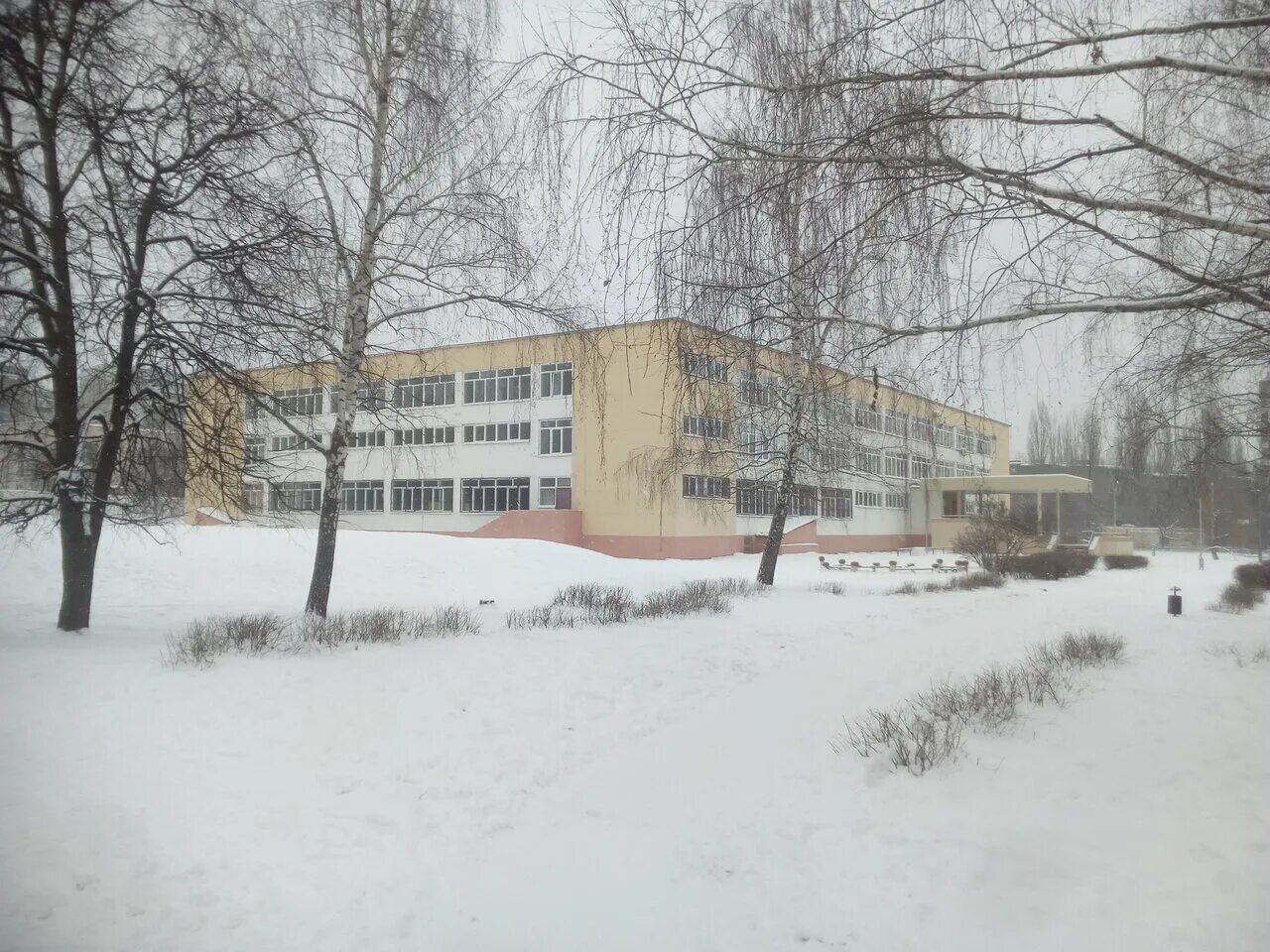 Сайт гимназия 64 липецк. Сайт гимназия 64 липецк. Гимназия №64 имени в. Сайт гимназия 64 липецк. Директор гимназии 64 липецк.