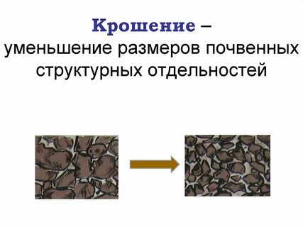 Отдельностью называются