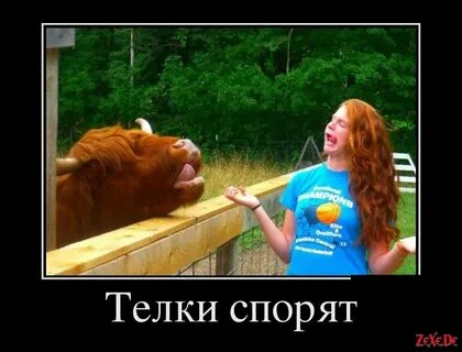 Чья бы корова мычала