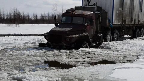 Сах видео