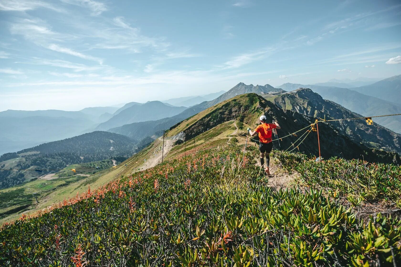 Вилд трейл. Hoka Wild Trail. Вилд Трейл 2022. Rosa Wild Trail.