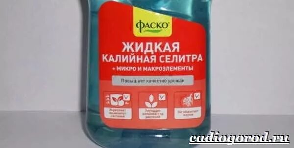 Как правильно разводить аммиачную селитру