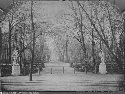 Осенью 1880 года в петербурге