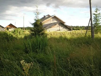 Гисметео архангельская область виноградовский