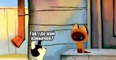 Котенок гав котлета