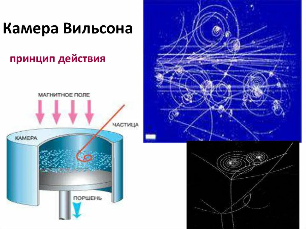 Схема строения камеры Вильсона. Схема устройства камеры Вильсона. Камера Вильсона строение. Камера Вильсона принцип работы. Как работает камера вильсона кратко