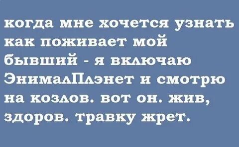 Да я хотела узнать
