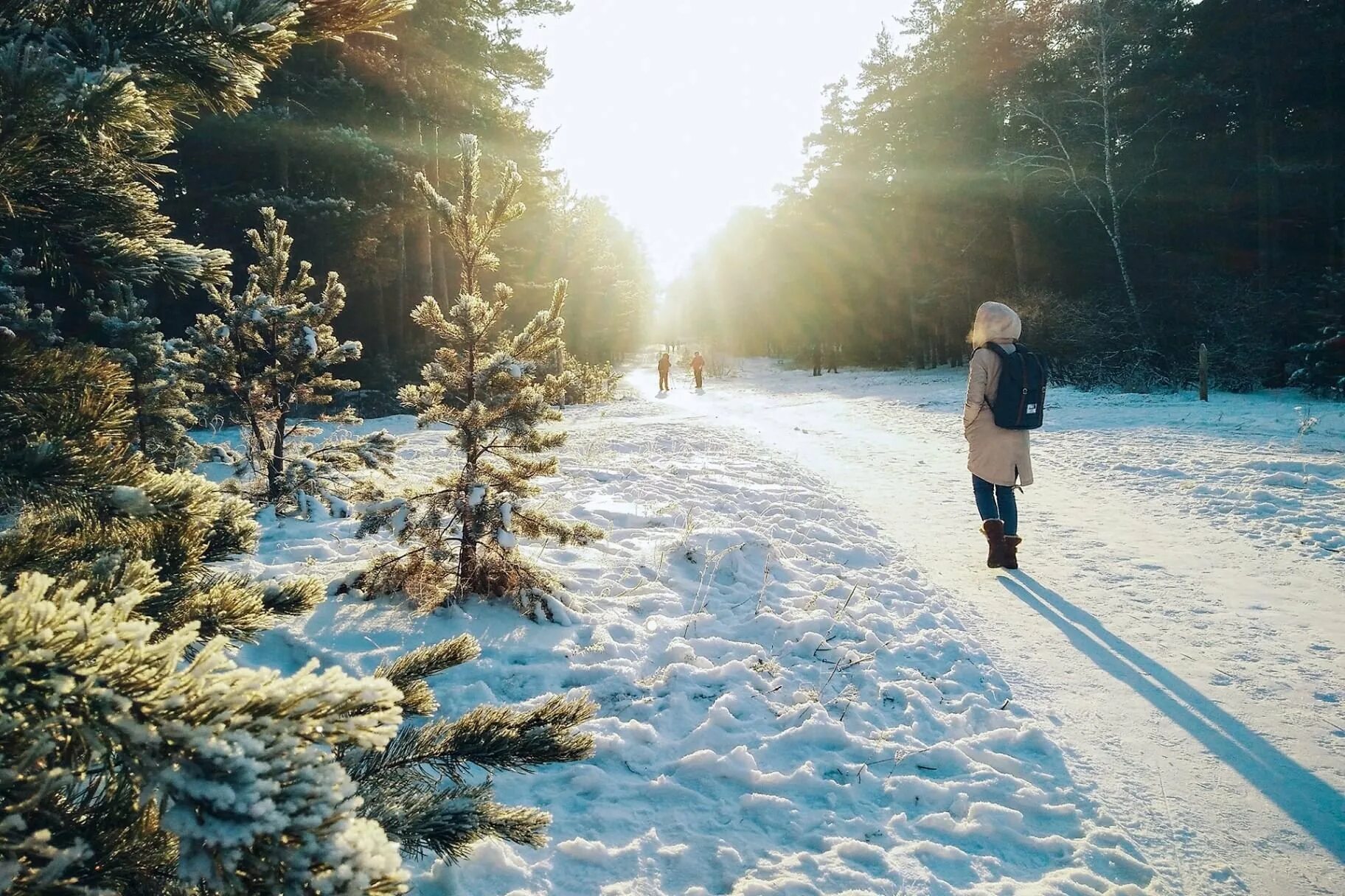 Зимняя прогулка. Прогулка в зимнем лесу. Прогулка зимой. Прогулка в парке зимой. Включи в холодном воздухе