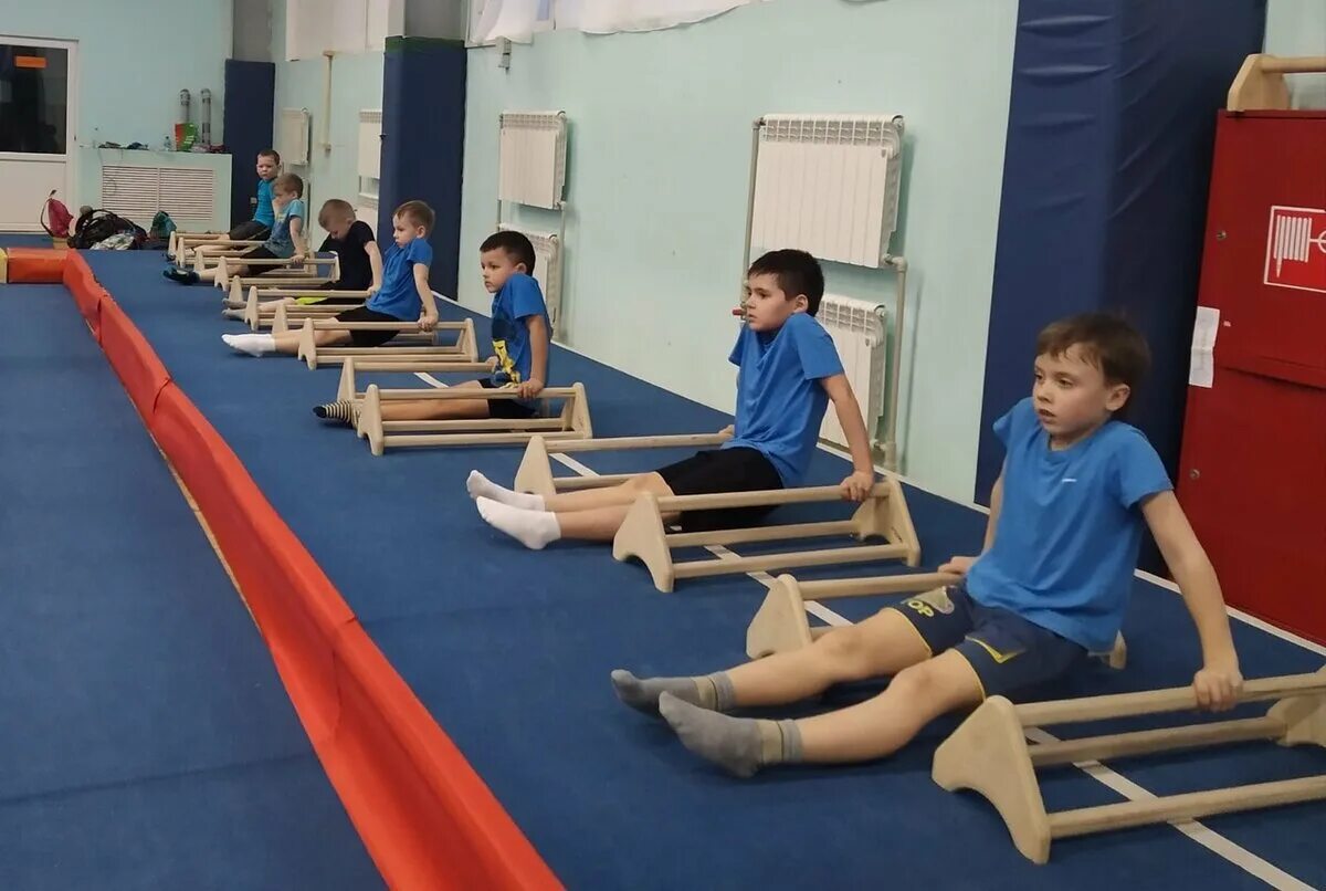 Офп 4. Секция офп для детей. секция спортивной гимнастики. спортивная гимнастика в школе. спортивные секции для мальчиков.