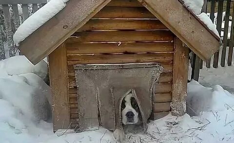 Зимние будки
