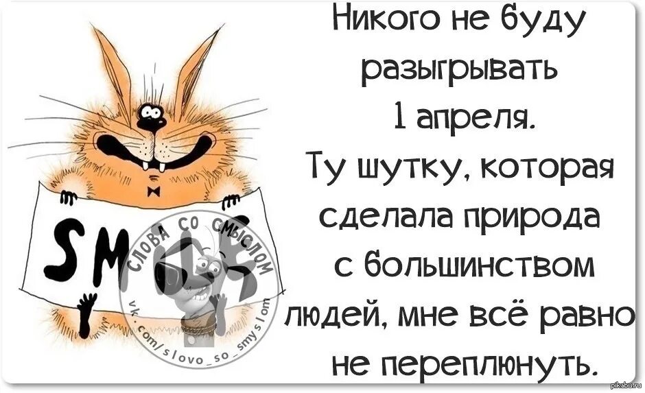 Самые лучшие шутки на 1 апреля. 1 Апреля анекдоты в картинках. Смешные шутки на первое апреля. Анекдоты на 1 апреля. Фразы про апрель прикольные.