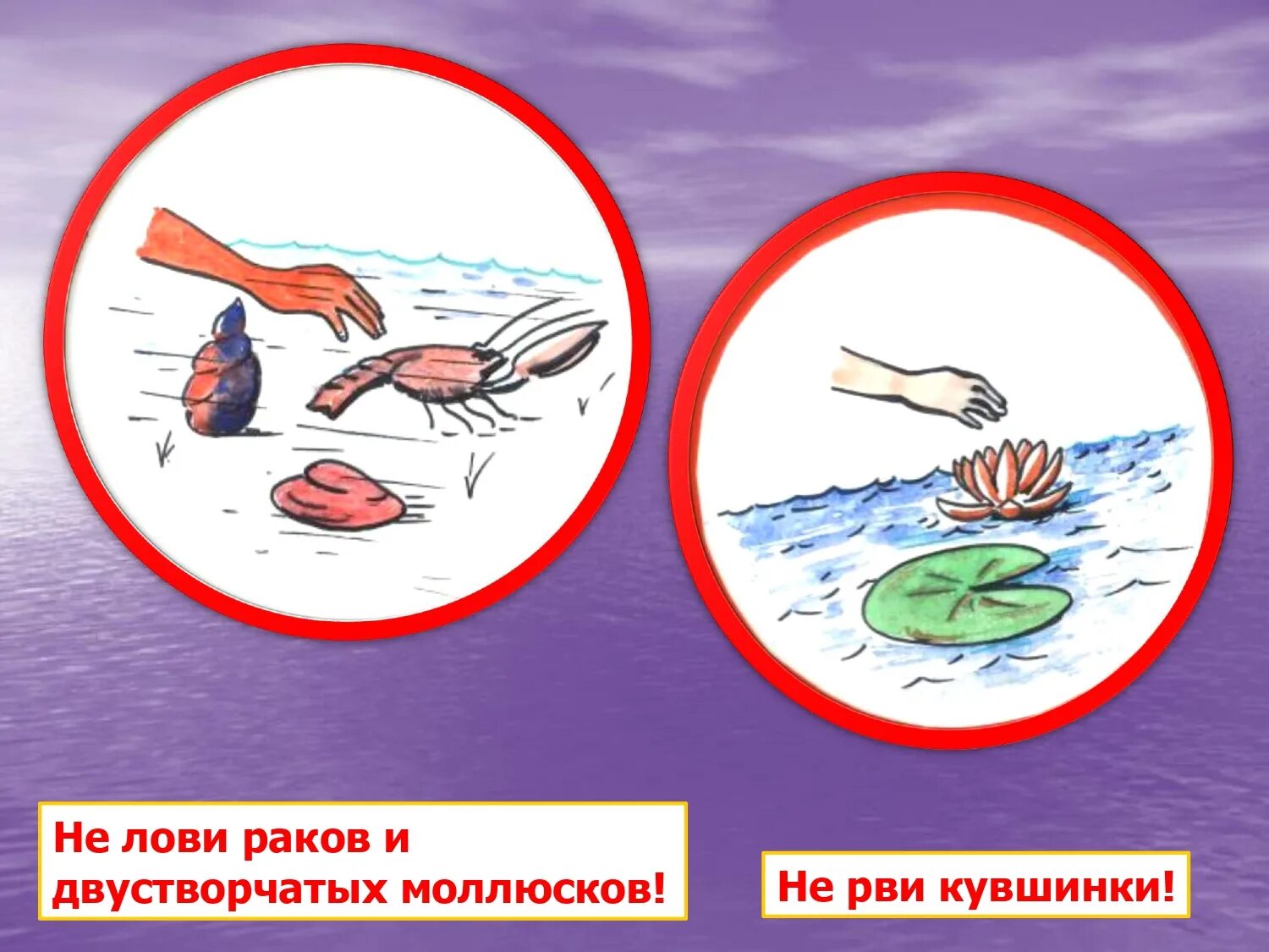 Берегите водоемы