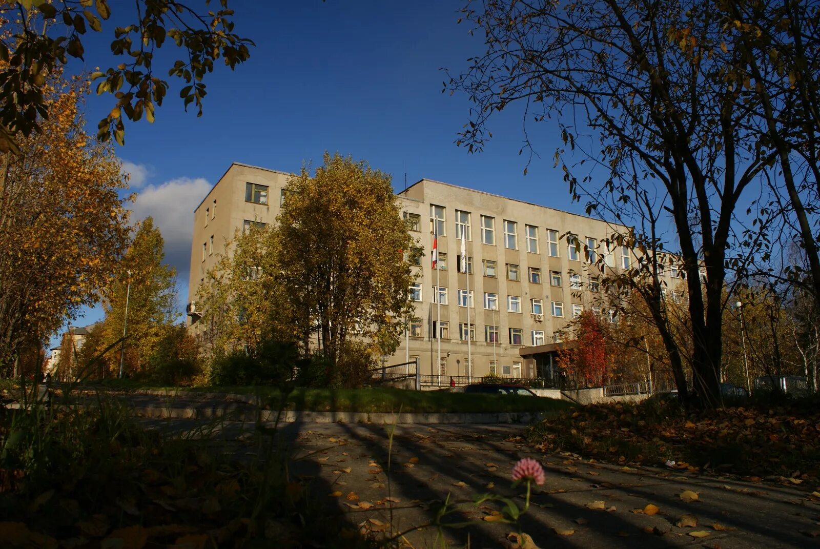 Ковдор информационный портал. Ковдор. ковдор город. краеведческий музей г ковдор. кбо ковдор.
