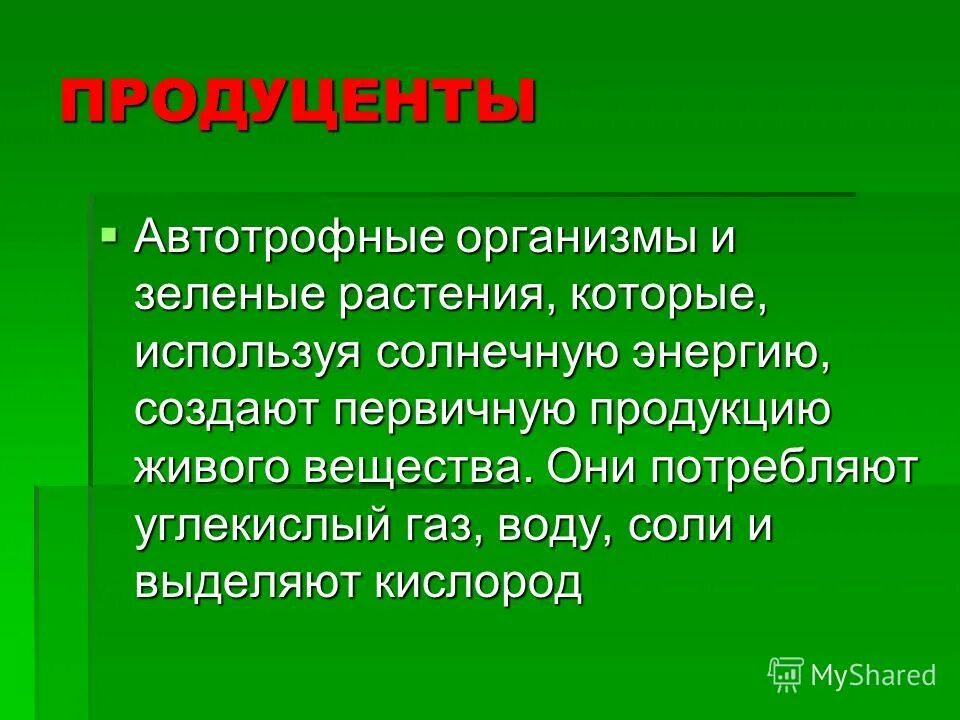 Продуценты. Продуценты это. Продуценты примеры. Растения продуценты.