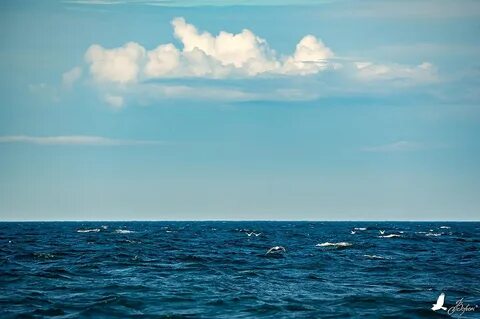 Глубокая синева моря