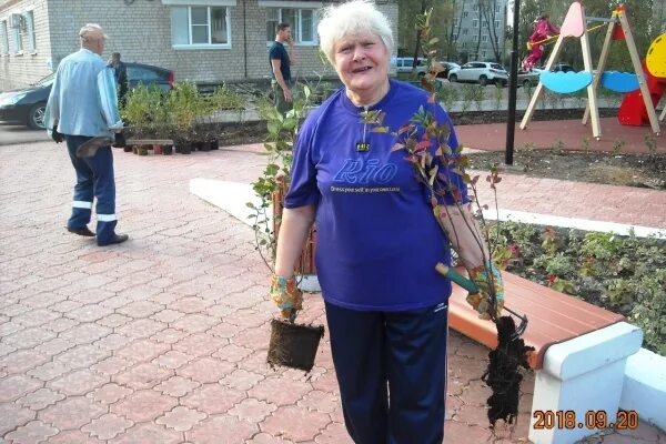 Кулебаки нижегородская семья. Рп5 кулебаки кулебаки народные новости. Новости кулебаки. Народные новости. Рп5 кулебаки.