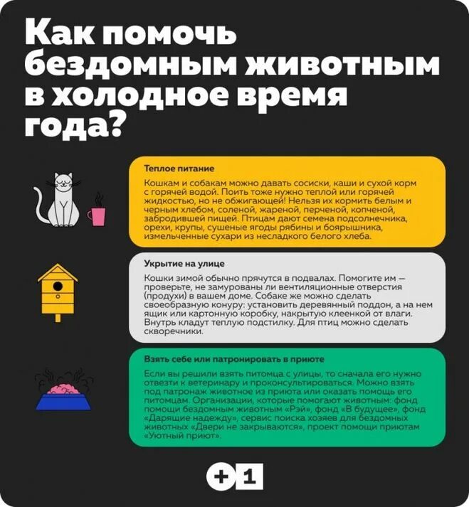 Помощь в трудной ситуации. Как можно помочь нашим. Чем можно помочь родителям. Акция день земли. Как можно помочь нашим.
