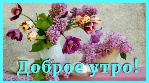 Добрые пожелания в тик токе