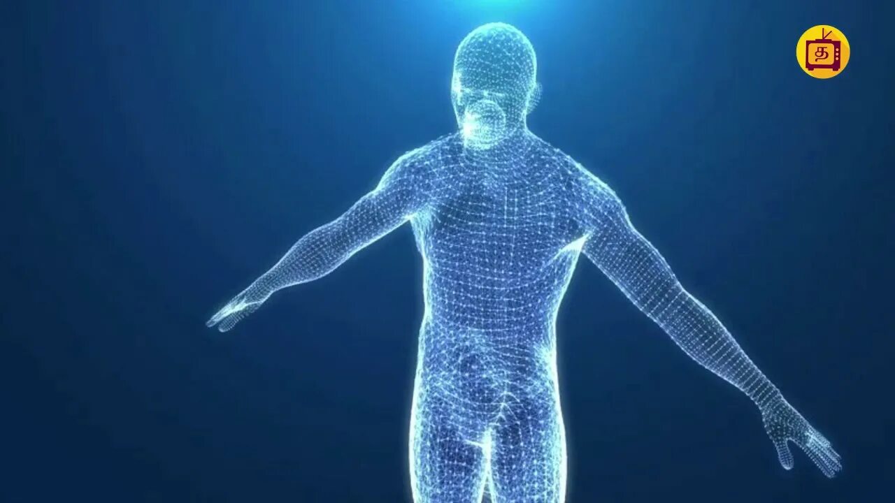 Тело человека. Текстура человеческий организм. 3d человек. Живые тела представляют собой