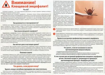 Энцефалит после клеща