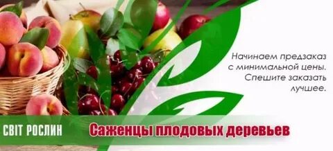Сайт плодовое тюмень
